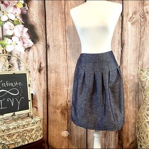 Ann Taylor Soft Pleat Metallic Skirt